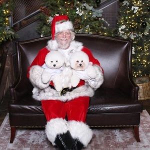 Meet your Posher, Yee